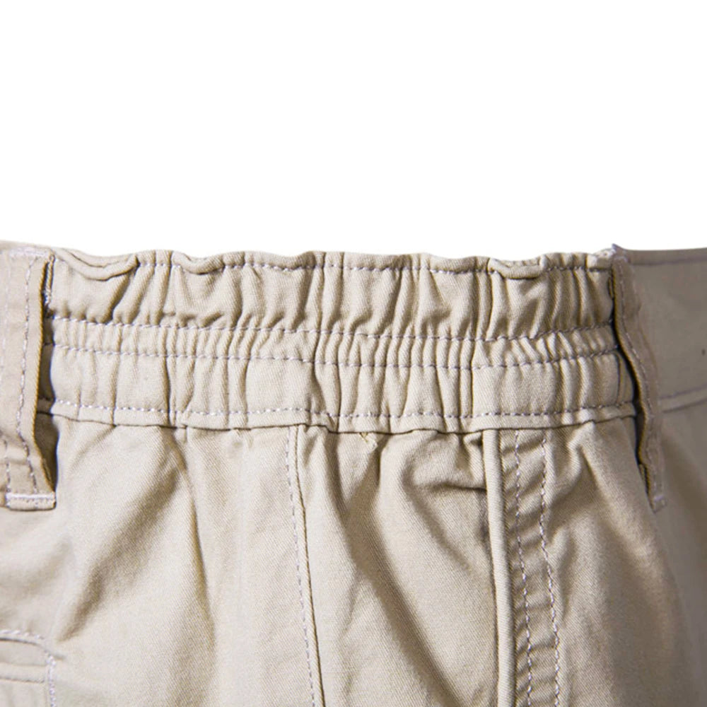 Chino Cotton Shorts